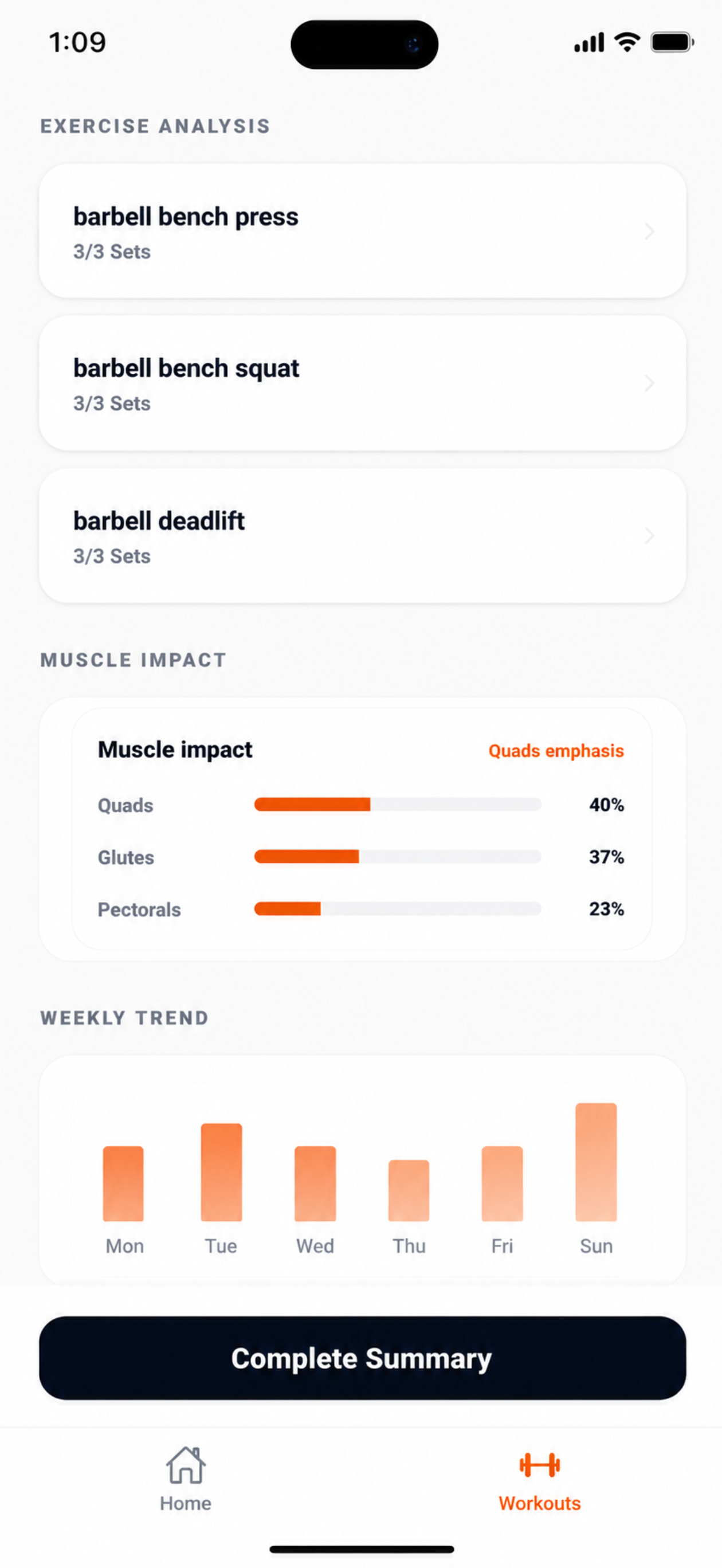 Workout summary with muscle impact analysis
