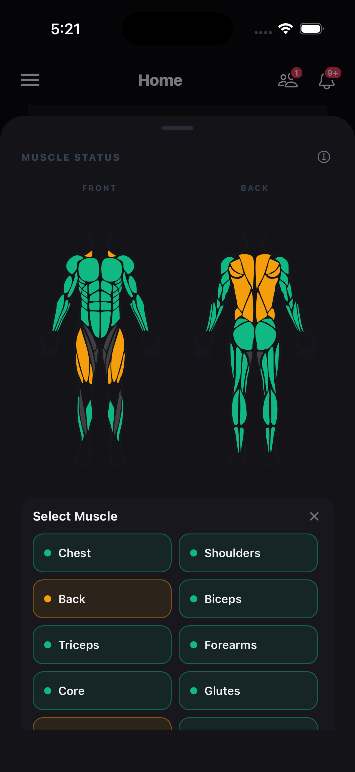 Recovery Hub showing muscle status map with readiness score and recommendation